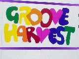 Groove Harvest̉摜łB